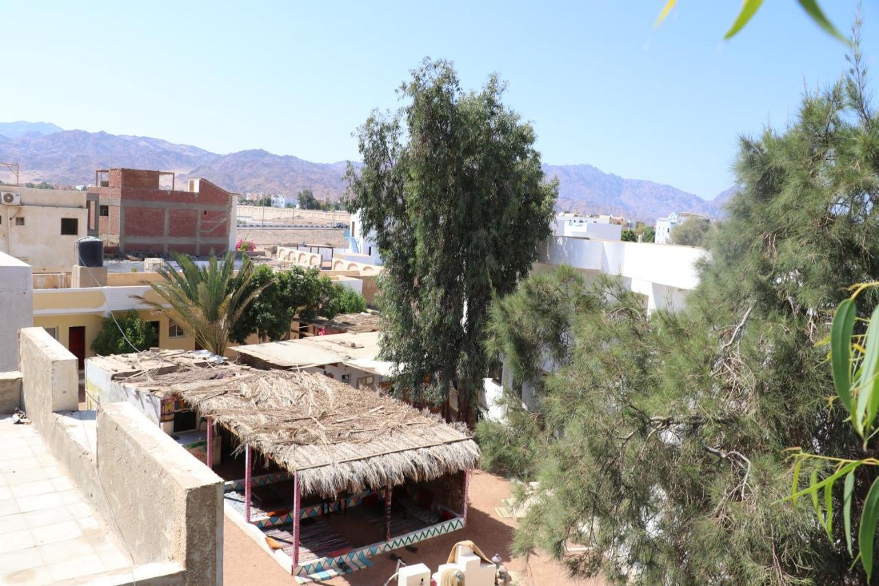 Hotel Oasis Fighting Kangaroo Dahab Exterior foto