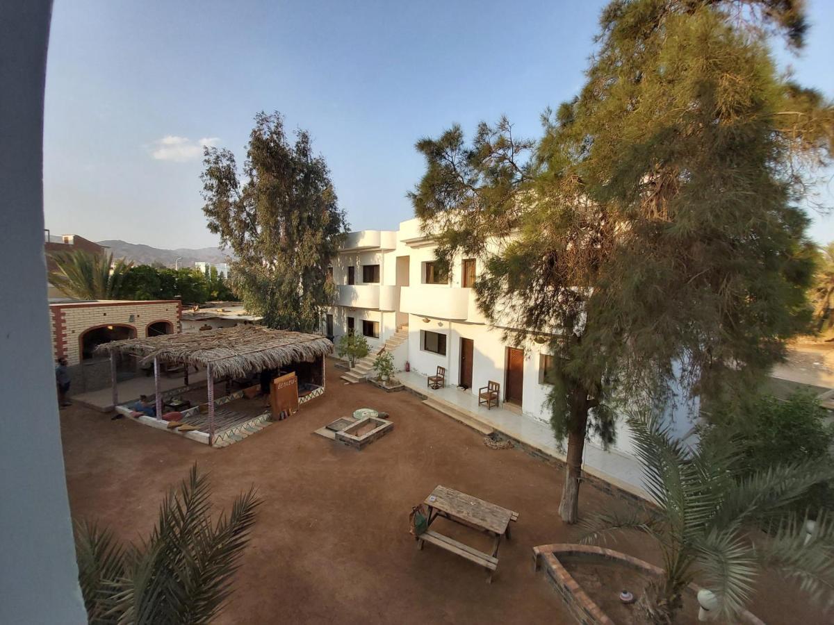 Hotel Oasis Fighting Kangaroo Dahab Exterior foto