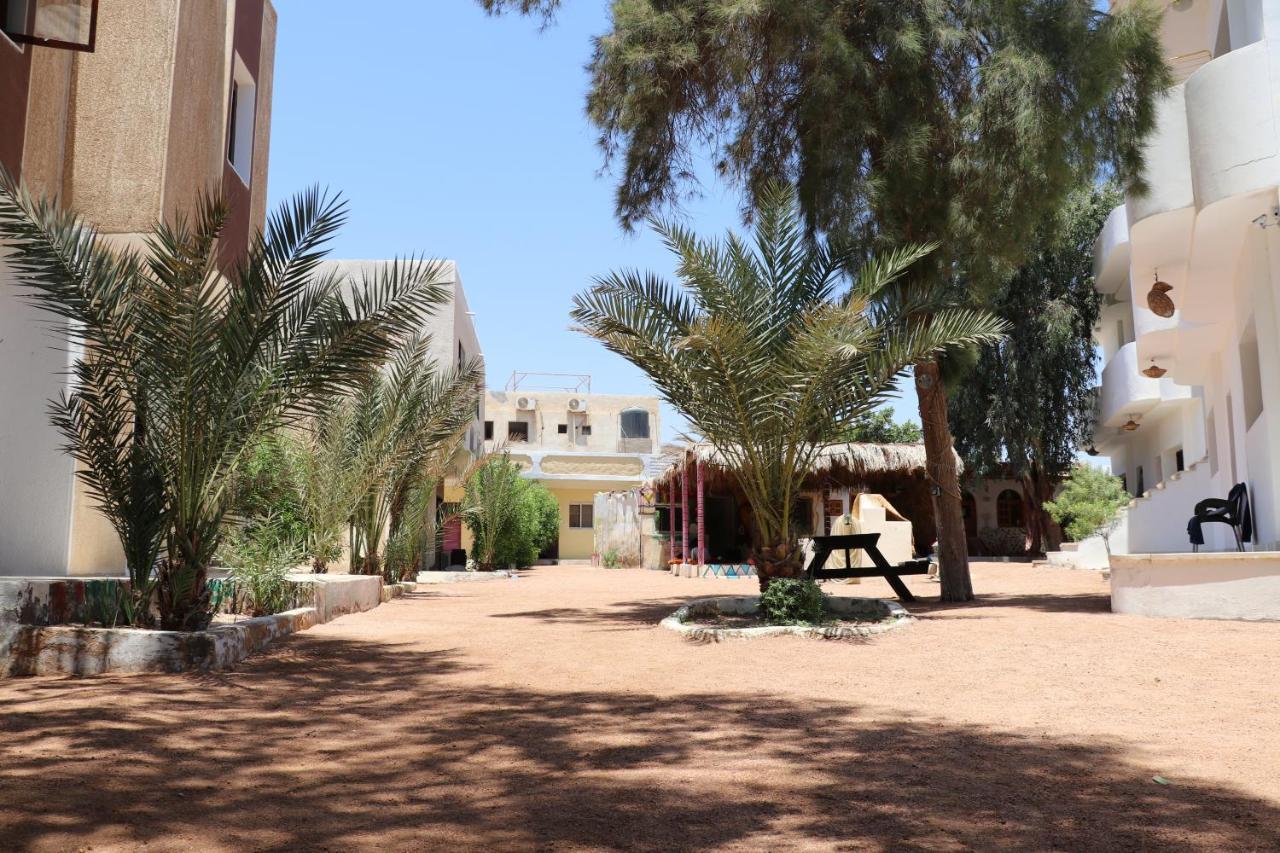 Hotel Oasis Fighting Kangaroo Dahab Exterior foto