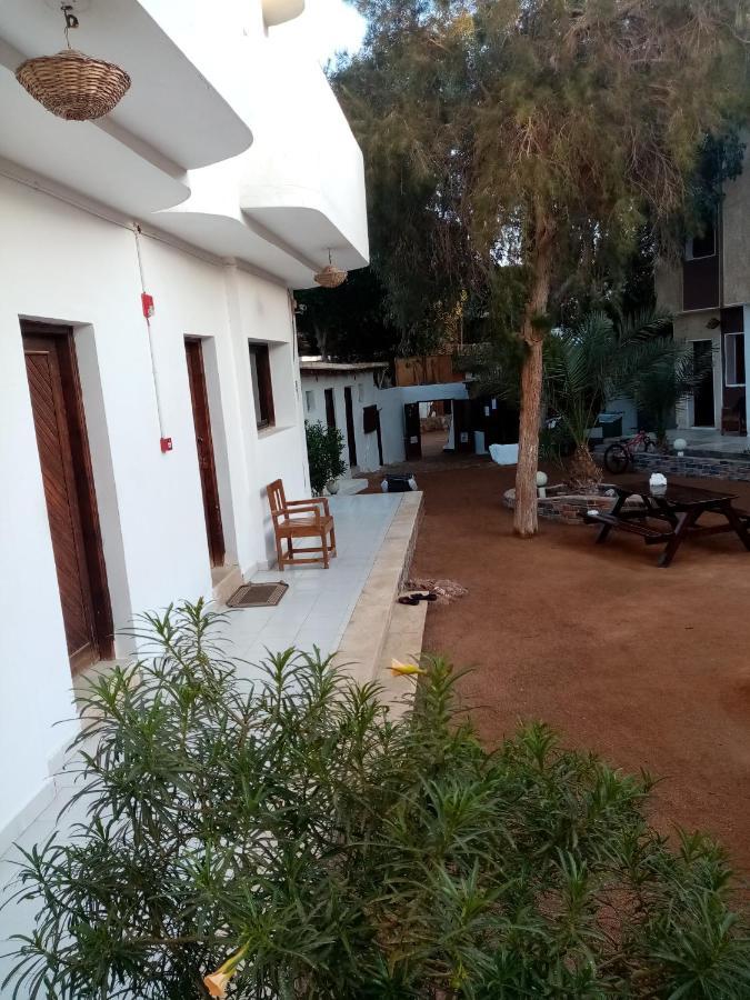 Hotel Oasis Fighting Kangaroo Dahab Exterior foto