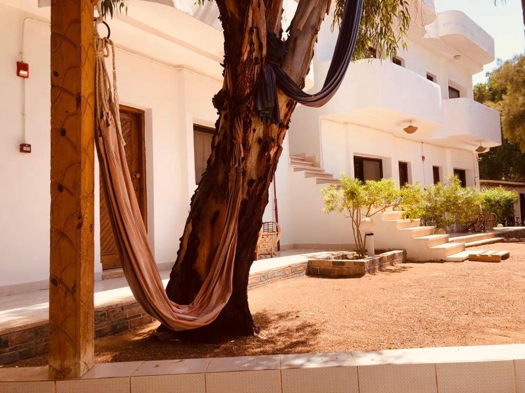 Hotel Oasis Fighting Kangaroo Dahab Exterior foto